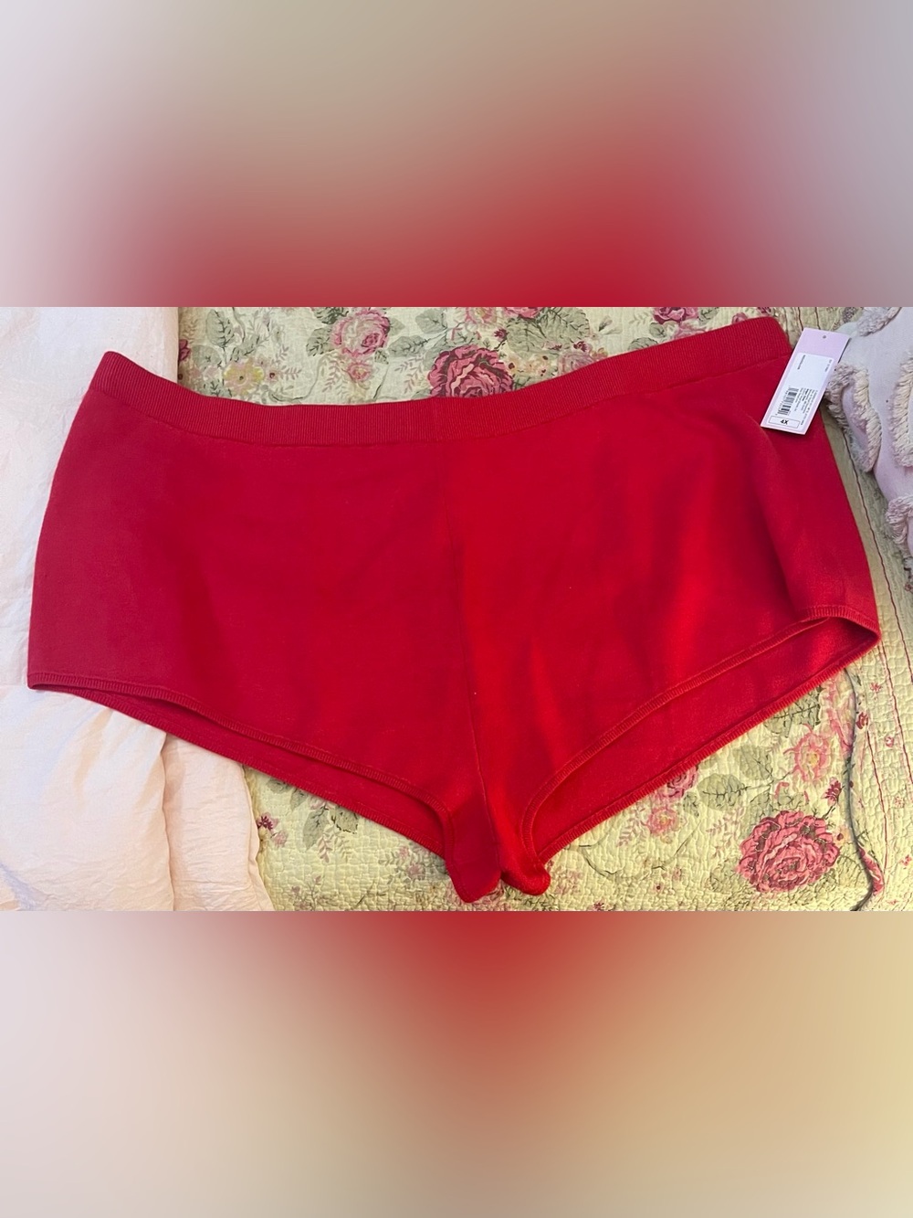 NWTS! Wild Fable Bundle(2) pair High-Rise Cotton Lounge Boyshorts